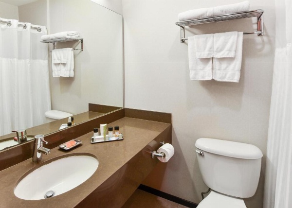 The Tangerine - a Burbank Hotel image 7